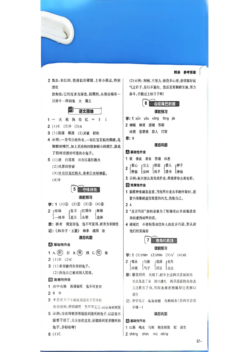 参考答案_2026春小学教辅大合集_5-26春《天星教育》系列_26春完整版《教材帮》语文1-6下_26春三下人教版语文《教材帮》