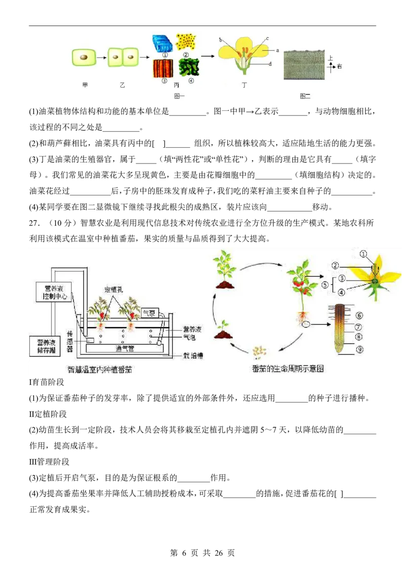 生物(全国通用)_中考押题2026《中考押题》系列（9科全套实时更新中）_2026版中考《考前押测卷》地区版（地生）_2026《生物中考&bull;考前押题卷》地区版