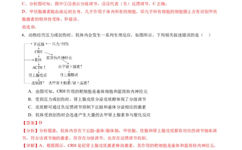 第26讲体液调节（练习）（解析版）_2025年新高考资料_一轮复习_2025年高考生物一轮复习讲练测（新教材新高考）