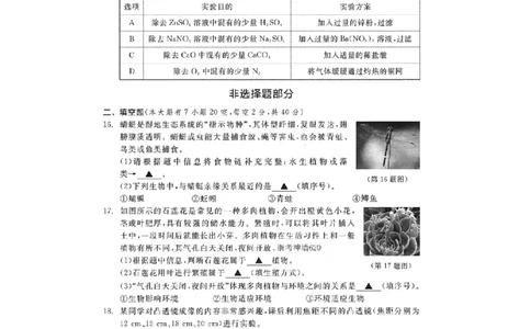 科学卷-2603宁波钱塘甬真1号&middot;潮卷_中考押题2026《中考押题》系列（9科全套实时更新中）_浙江2026版中考《浙江一模二模》多地区全套（浙江）_2603宁波钱塘甬真1号潮卷（全科）
