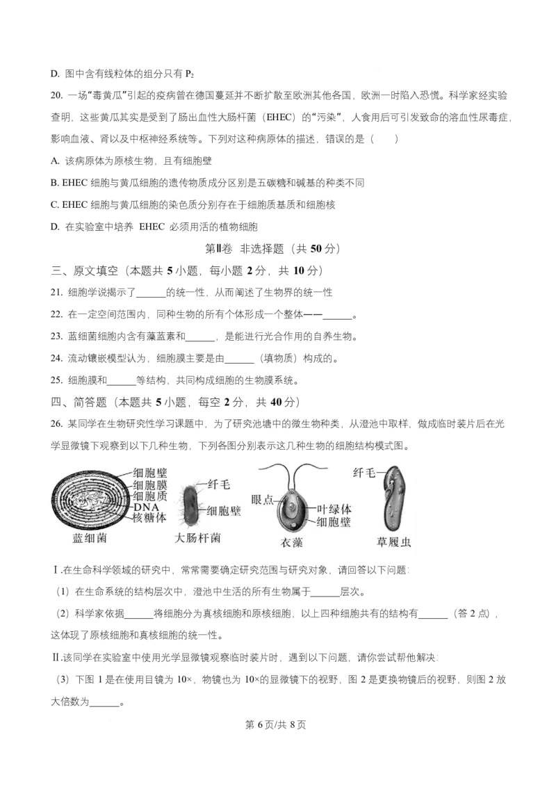 湖南省长沙市长郡中学2025-2026学年高一上学期11月期中生物试题（原卷版）_2025年11月高一试卷_251116湖南省长沙市长郡中学2025-2026学年高一上学期期中考试（全）