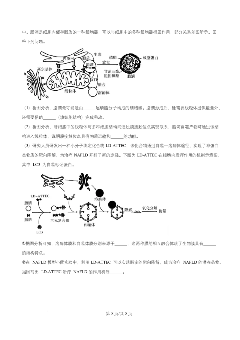 湖南省长沙市长郡中学2025-2026学年高一上学期11月期中生物试题（原卷版）_2025年11月高一试卷_251116湖南省长沙市长郡中学2025-2026学年高一上学期期中考试（全）