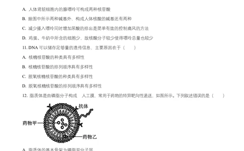 湖南省长沙市长郡中学2025-2026学年高一上学期11月期中生物试题（原卷版）_2025年11月高一试卷_251116湖南省长沙市长郡中学2025-2026学年高一上学期期中考试（全）