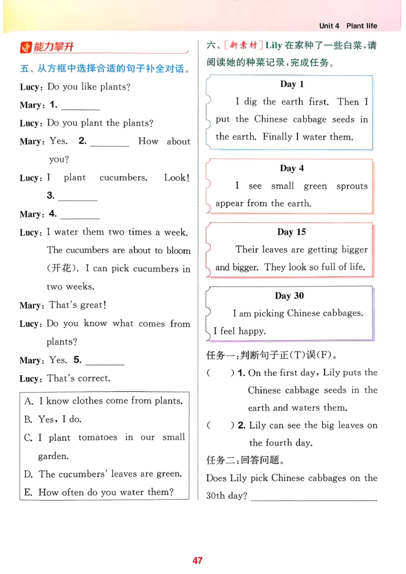 四下拔尖特训册_2026春小学教辅大合集_16-26春《通成学典》系列_26春3-6年级下册《拔尖特训》外研版英语_2026春新外研英语四年级下册《拔尖特训》