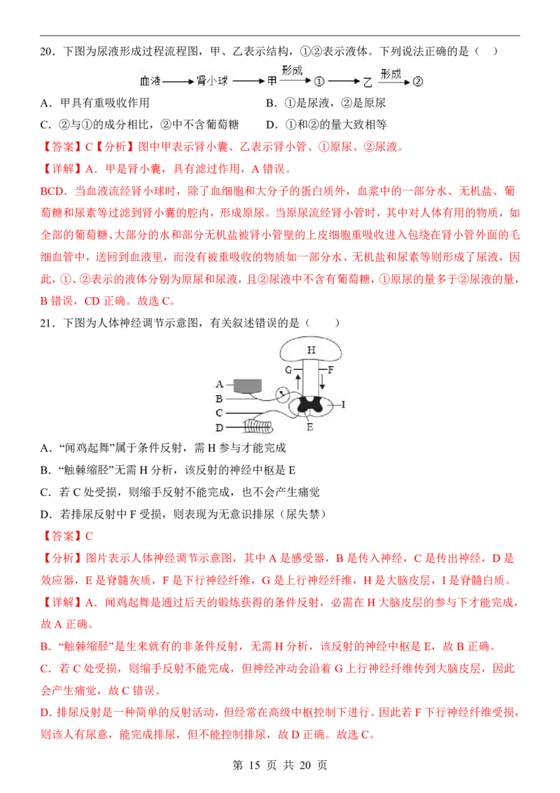 生物(深圳卷)_中考押题2026《中考押题》系列（9科全套实时更新中）_2026版中考《考前押测卷》地区版（地生）_2026《生物中考&bull;考前押题卷》地区版