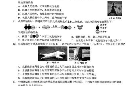 科学卷-2604舟山一模_中考押题2026《中考押题》系列（9科全套实时更新中）_浙江2026版中考《浙江一模二模》多地区全套（浙江）_2604舟山舟山一模