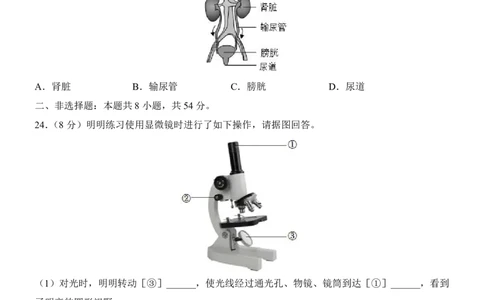 生物(天津卷)_中考押题2026《中考押题》系列（9科全套实时更新中）_2026版中考《考前押测卷》地区版（地生）_2026《生物中考&bull;考前预测卷》地区版