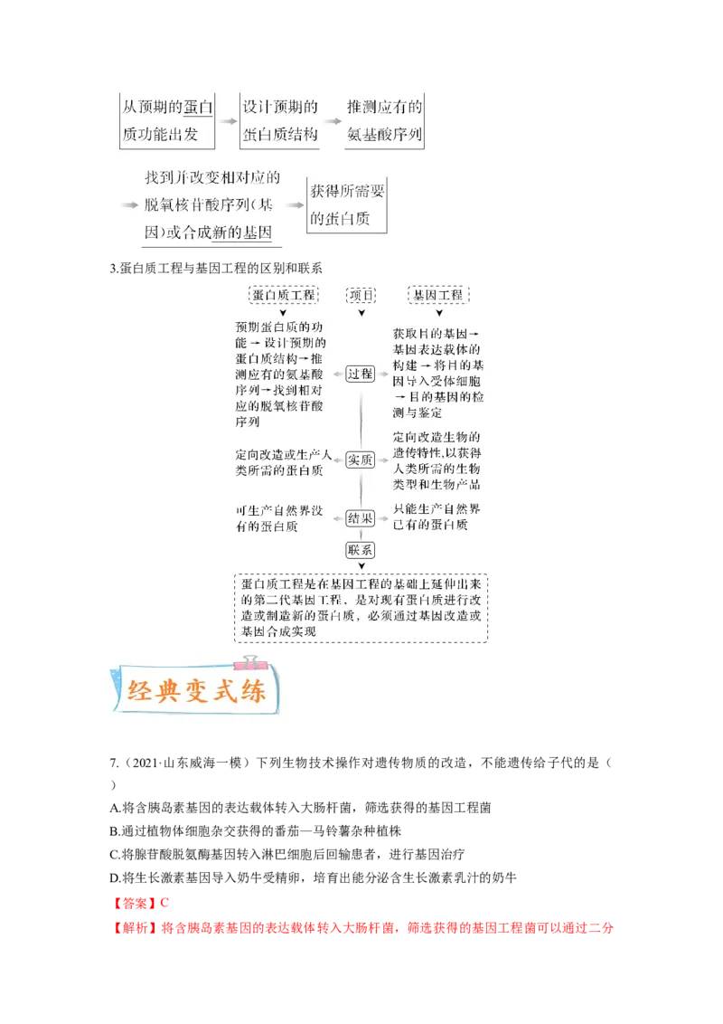 考向28基因工程及生物技术安全性与伦理问题-备战2023年高考生物一轮复习考点微专题（全国通用）（解析版）(1)_通用版（老高考）复习资料_2023年复习资料_一轮复习