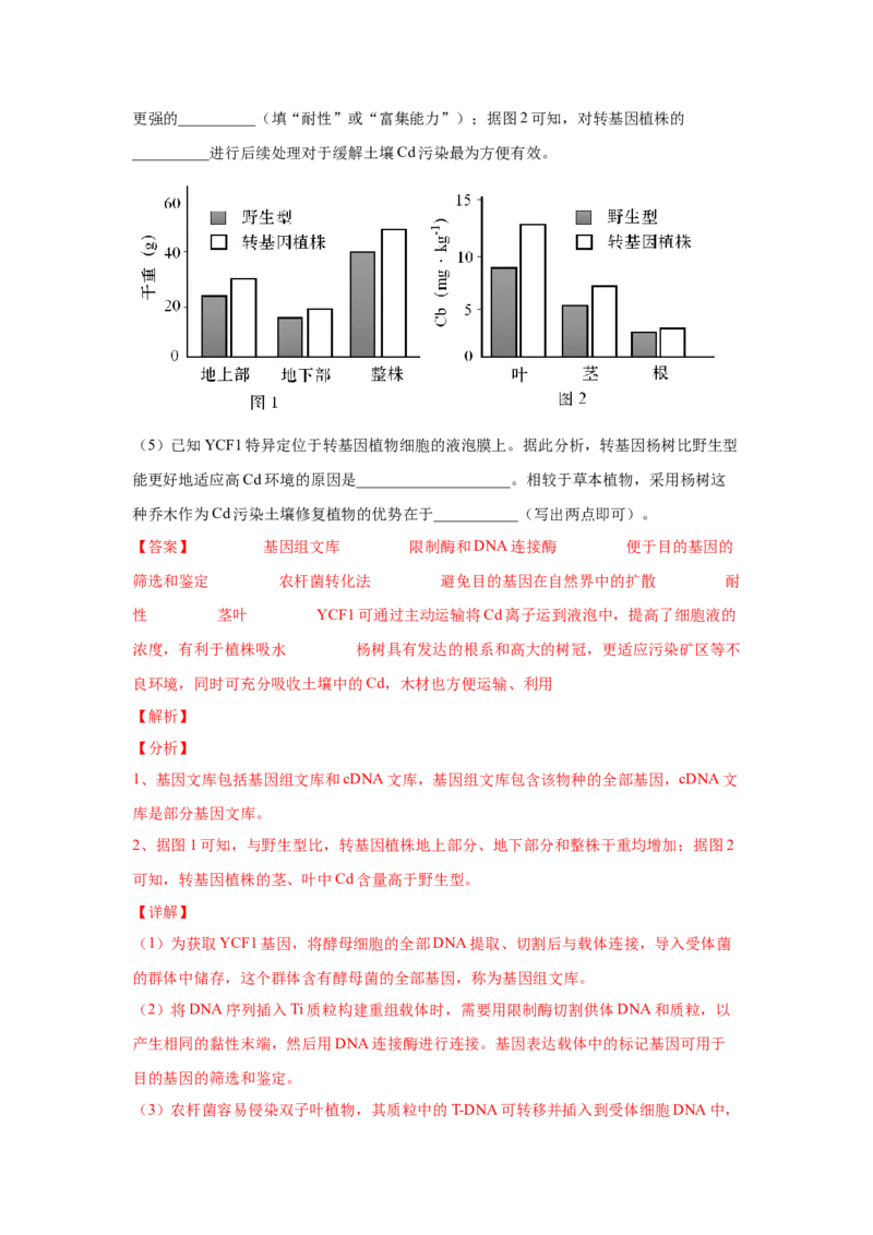 考向28基因工程及生物技术安全性与伦理问题-备战2023年高考生物一轮复习考点微专题（全国通用）（解析版）(1)_通用版（老高考）复习资料_2023年复习资料_一轮复习