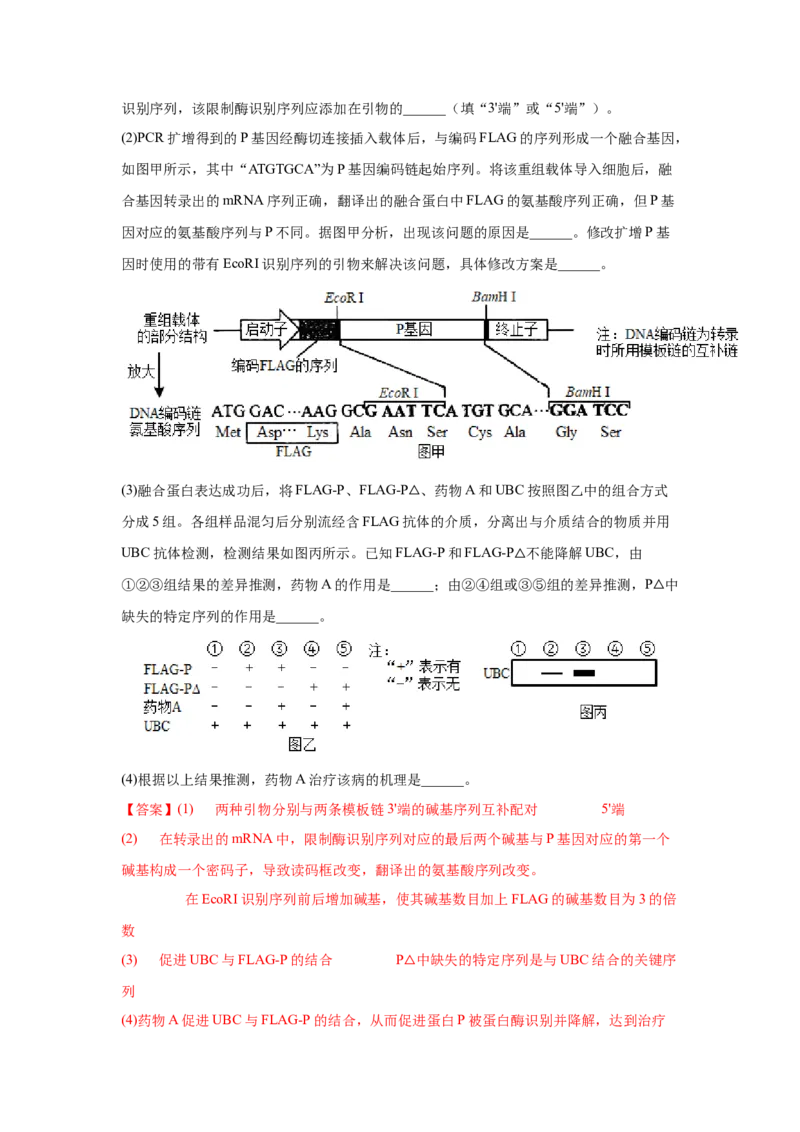 考向28基因工程及生物技术安全性与伦理问题-备战2023年高考生物一轮复习考点微专题（全国通用）（解析版）(1)_通用版（老高考）复习资料_2023年复习资料_一轮复习