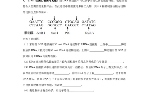考向28基因工程及生物技术安全性与伦理问题-备战2023年高考生物一轮复习考点微专题（全国通用）（解析版）(1)_通用版（老高考）复习资料_2023年复习资料_一轮复习