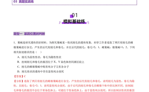 第18讲遗传综合实验分析（练习）（解析版）_2025年新高考资料_一轮复习_2025年高考生物一轮复习讲练测（新教材新高考）