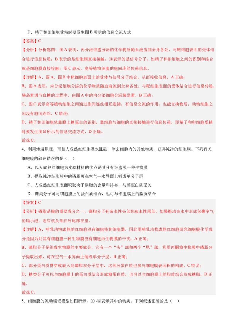 考点通关卷05细胞膜和细胞核（解析版）_新高考复习资料_2025年新高考资料_2025年高考生物一轮复习考点通关卷（新高考通用）