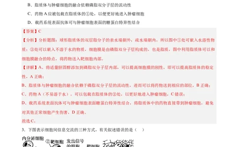 考点通关卷05细胞膜和细胞核（解析版）_新高考复习资料_2025年新高考资料_2025年高考生物一轮复习考点通关卷（新高考通用）