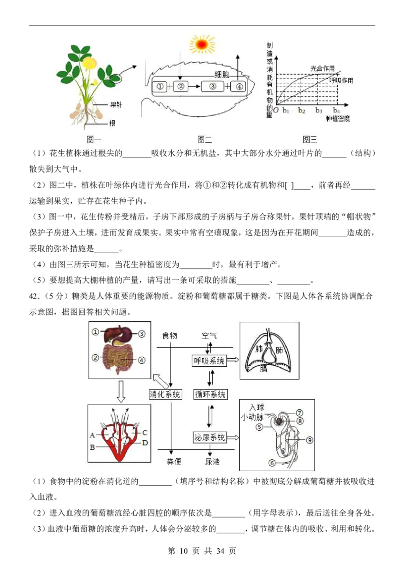 生物(江苏卷)_中考押题2026《中考押题》系列（9科全套实时更新中）_2026版中考《考前押测卷》地区版（地生）_2026《生物中考&bull;考前预测卷》地区版