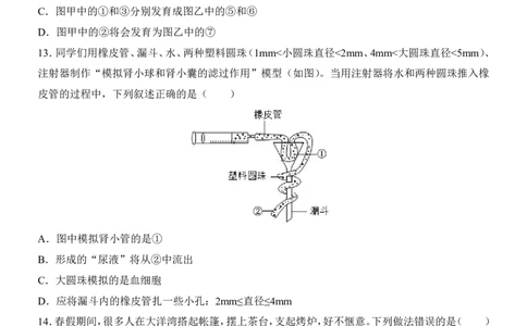 生物(江苏卷)_中考押题2026《中考押题》系列（9科全套实时更新中）_2026版中考《考前押测卷》地区版（地生）_2026《生物中考&bull;考前预测卷》地区版