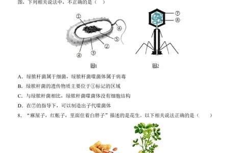 生物(河南卷)_中考押题2026《中考押题》系列（9科全套实时更新中）_2026版中考《考前押测卷》地区版（地生）_2026《生物中考&bull;考前押题卷》地区版