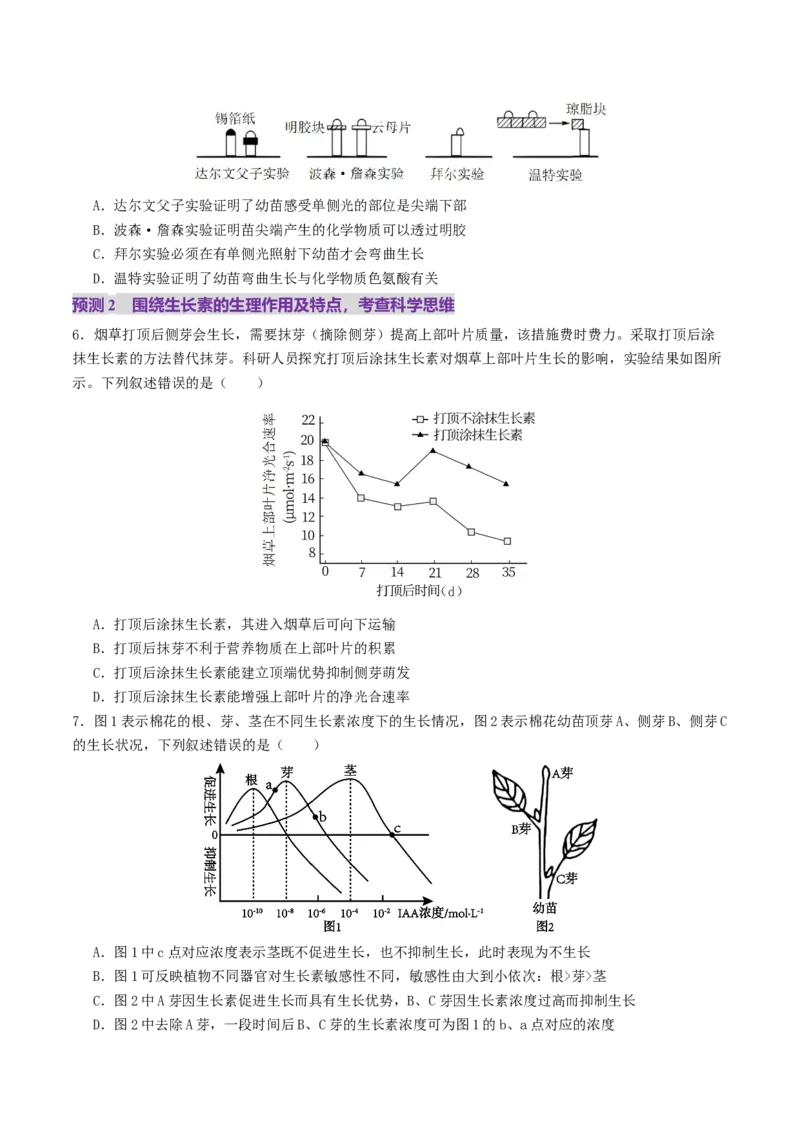第13讲+植物生命活动的调节（讲义）（原卷版）_2025年新高考资料_二轮复习_上好课2025年高考生物二轮复习讲练测（新高考通用）3380526