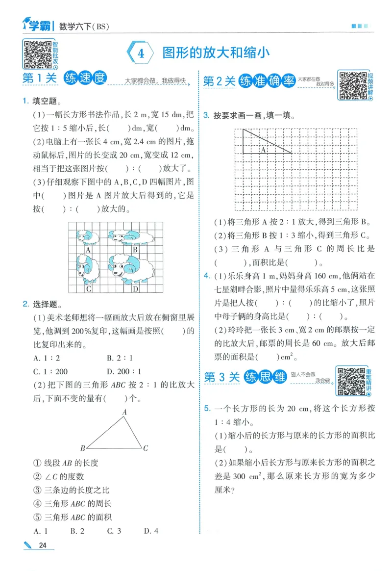北师数学6下_2026春小学教辅大合集_9-26春《经纶学霸》系列_26春《五星学霸》语数英系列_26春《五星学霸》数学北师下册_2026春《五星学霸》数学BS6下