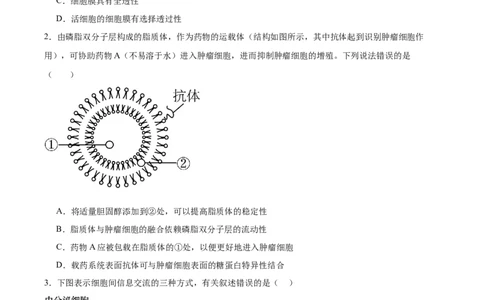 考点通关卷05细胞膜和细胞核（原卷版）_新高考复习资料_2025年新高考资料_2025年高考生物一轮复习考点通关卷（新高考通用）