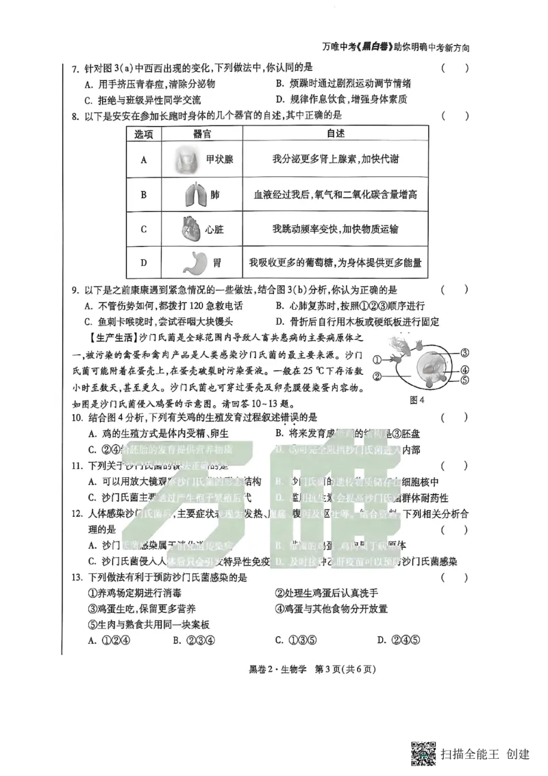 生物黑白卷_中考押题2026《中考押题》系列（9科全套实时更新中）_万唯2026版初中《万唯黑白卷》地生（陕西）