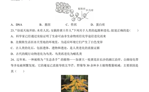 生物(长沙卷)_中考押题2026《中考押题》系列（9科全套实时更新中）_2026版中考《考前押测卷》地区版（地生）_2026《生物中考&bull;考前押题卷》地区版