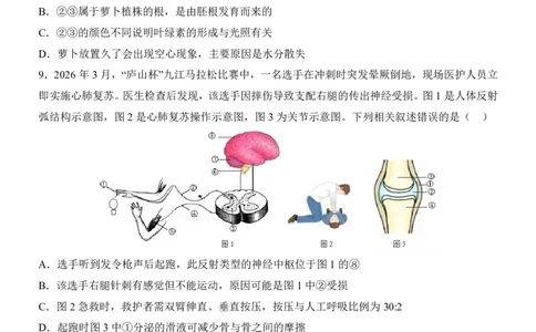 生物(山东卷)_中考押题2026《中考押题》系列（9科全套实时更新中）_2026版中考《考前押测卷》地区版（地生）_2026《生物中考&bull;考前押题卷》地区版
