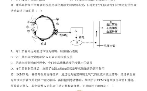 生物(山东卷)_中考押题2026《中考押题》系列（9科全套实时更新中）_2026版中考《考前押测卷》地区版（地生）_2026《生物中考&bull;考前押题卷》地区版