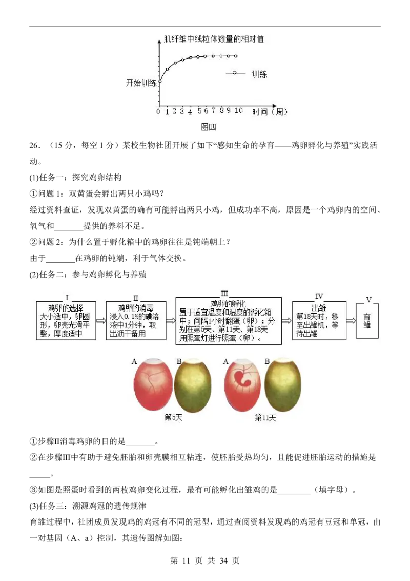 生物(山东卷)_中考押题2026《中考押题》系列（9科全套实时更新中）_2026版中考《考前押测卷》地区版（地生）_2026《生物中考&bull;考前押题卷》地区版