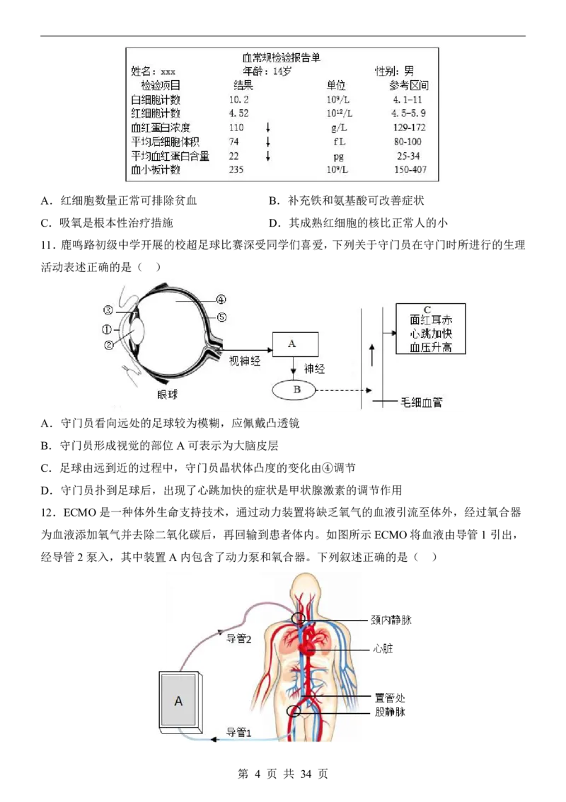 生物(山东卷)_中考押题2026《中考押题》系列（9科全套实时更新中）_2026版中考《考前押测卷》地区版（地生）_2026《生物中考&bull;考前押题卷》地区版