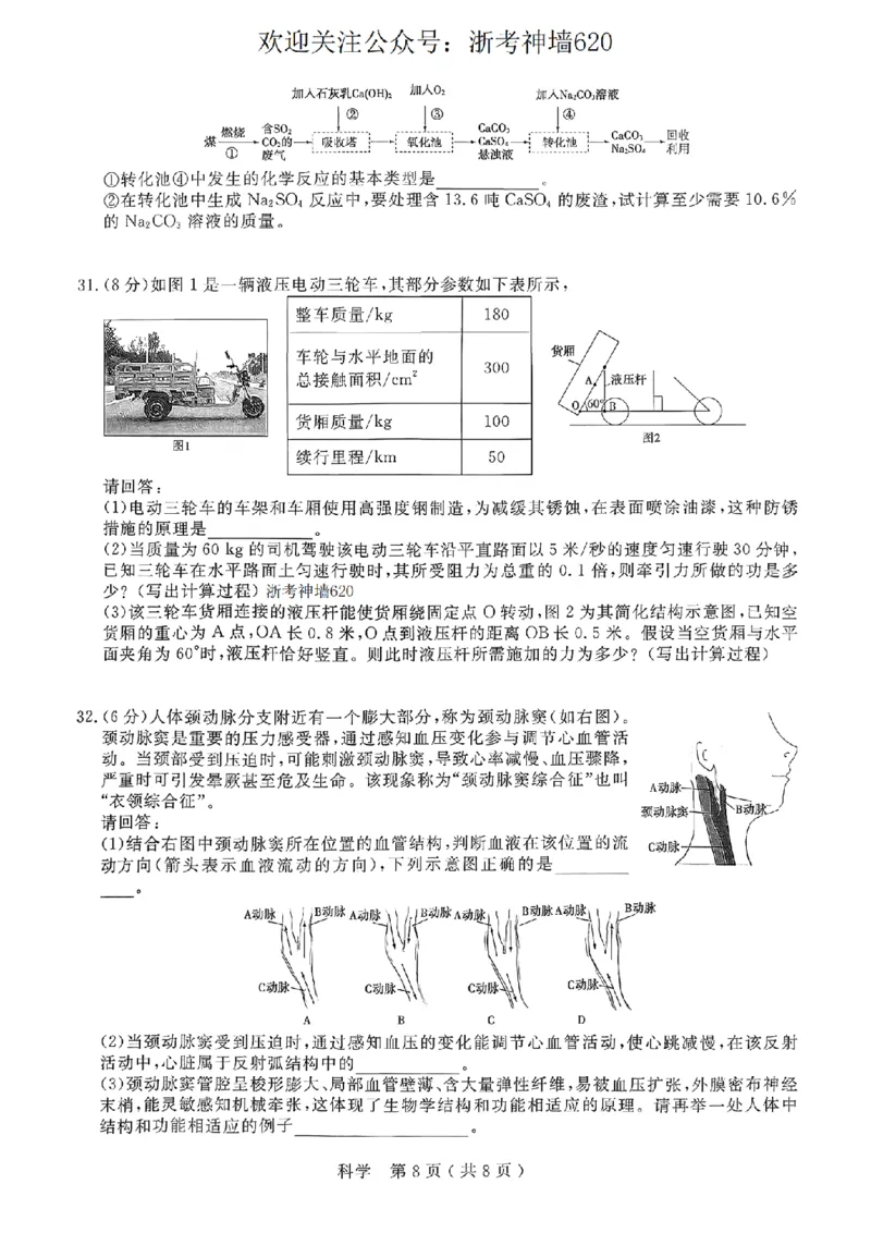 科学卷-2026杭州余杭临平一模_中考押题2026《中考押题》系列（9科全套实时更新中）_浙江2026版中考《浙江一模二模》多地区全套（浙江）_2604杭州余杭临平一模