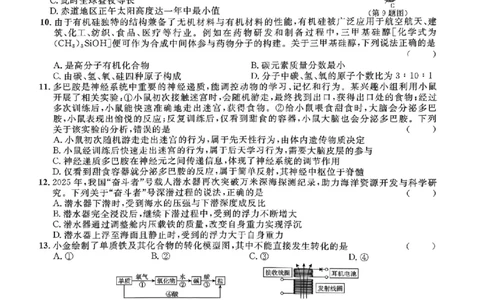 科学卷-2603宁波全效学习探花卷_中考押题2026《中考押题》系列（9科全套实时更新中）_浙江2026版中考《浙江一模二模》多地区全套（浙江）_2603宁波全效学习探花卷（全科）