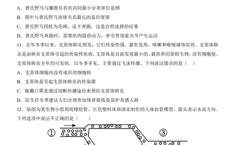 生物(河南卷)_中考押题2026《中考押题》系列（9科全套实时更新中）_2026版中考《考前押测卷》地区版（地生）_2026《生物中考&bull;考前预测卷》地区版