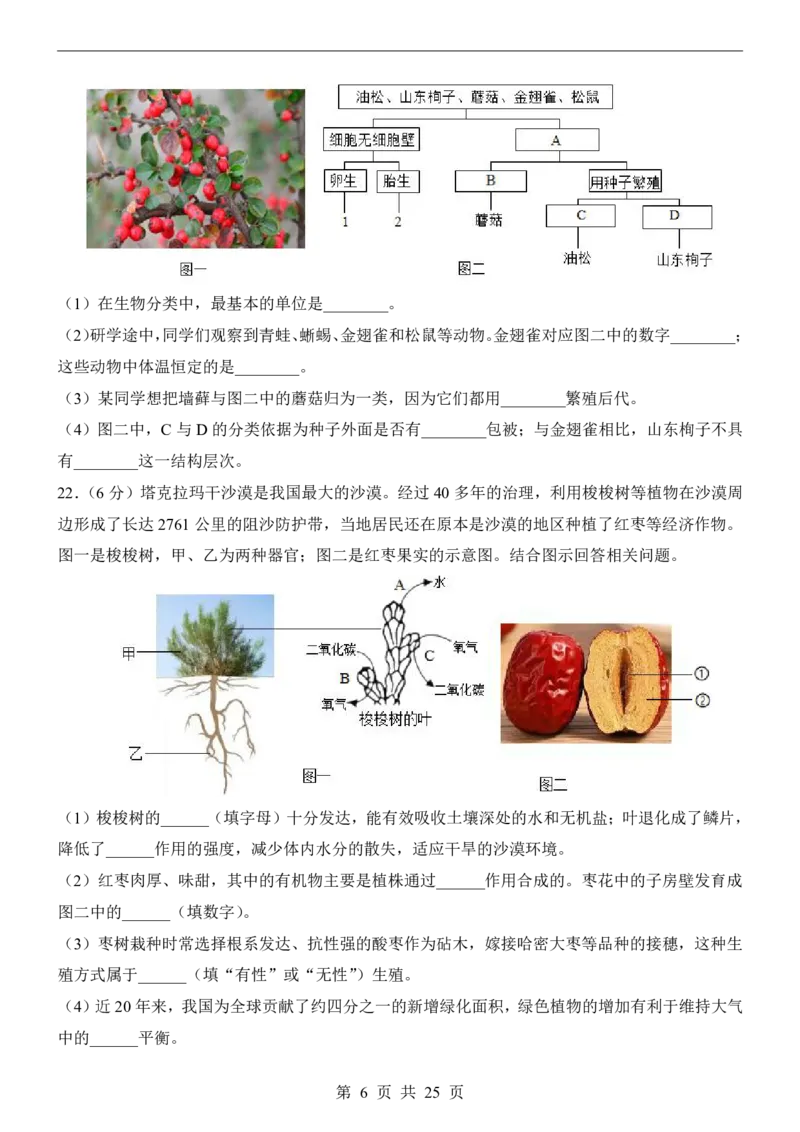 生物(河南卷)_中考押题2026《中考押题》系列（9科全套实时更新中）_2026版中考《考前押测卷》地区版（地生）_2026《生物中考&bull;考前预测卷》地区版
