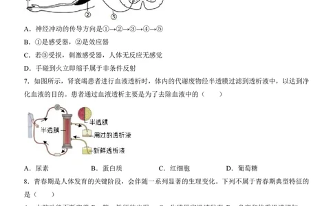 生物(广东卷)_中考押题2026《中考押题》系列（9科全套实时更新中）_2026版中考《考前押测卷》地区版（地生）_2026《生物中考&bull;考前预测卷》地区版