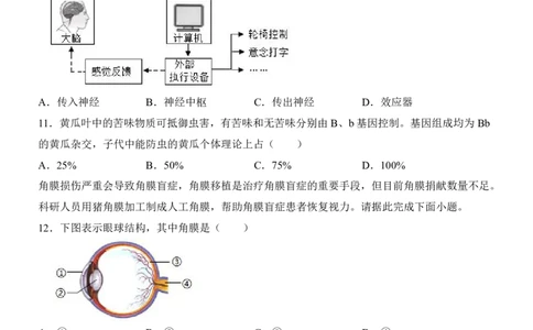 生物(广东卷)_中考押题2026《中考押题》系列（9科全套实时更新中）_2026版中考《考前押测卷》地区版（地生）_2026《生物中考&bull;考前预测卷》地区版