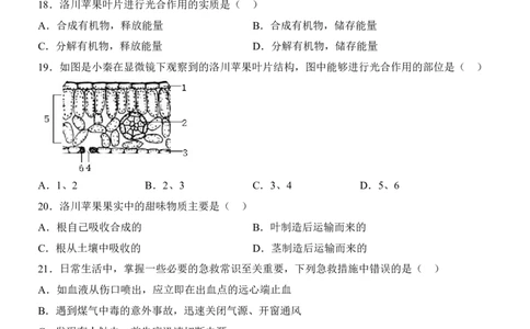 生物(广东卷)_中考押题2026《中考押题》系列（9科全套实时更新中）_2026版中考《考前押测卷》地区版（地生）_2026《生物中考&bull;考前预测卷》地区版