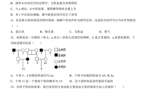 生物(全国通用)_中考押题2026《中考押题》系列（9科全套实时更新中）_2026版中考《考前押测卷》地区版（地生）_2026《生物中考&bull;考前预测卷》地区版