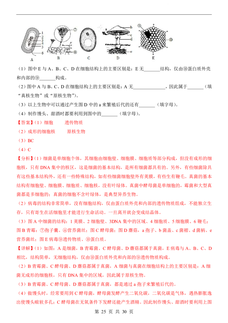 生物(全国通用)_中考押题2026《中考押题》系列（9科全套实时更新中）_2026版中考《考前押测卷》地区版（地生）_2026《生物中考&bull;考前预测卷》地区版