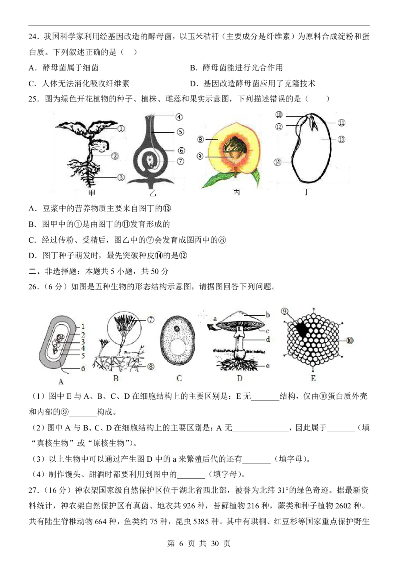 生物(全国通用)_中考押题2026《中考押题》系列（9科全套实时更新中）_2026版中考《考前押测卷》地区版（地生）_2026《生物中考&bull;考前预测卷》地区版