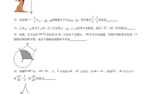 数学（考试版A4）_人教版数学九年级上册_版本二_九年级数学上册（人教版）_秋季开学摸底考_九年级数学秋季开学摸底考（江苏苏州专用）