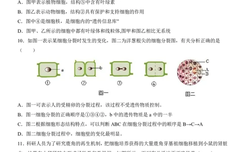 生物(江苏卷)_中考押题2026《中考押题》系列（9科全套实时更新中）_2026版中考《考前押测卷》地区版（地生）_2026《生物中考&bull;考前押题卷》地区版