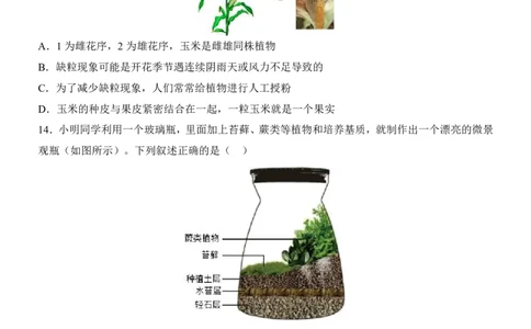 生物(江苏卷)_中考押题2026《中考押题》系列（9科全套实时更新中）_2026版中考《考前押测卷》地区版（地生）_2026《生物中考&bull;考前押题卷》地区版