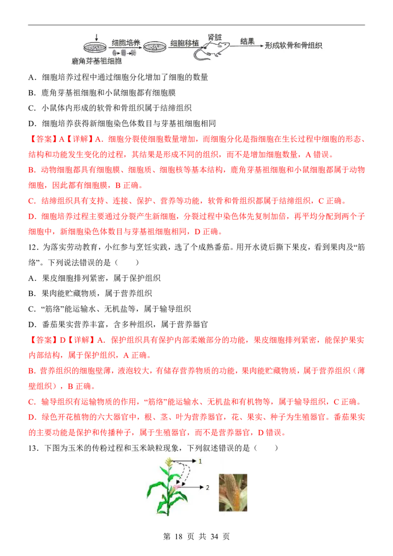 生物(江苏卷)_中考押题2026《中考押题》系列（9科全套实时更新中）_2026版中考《考前押测卷》地区版（地生）_2026《生物中考&bull;考前押题卷》地区版