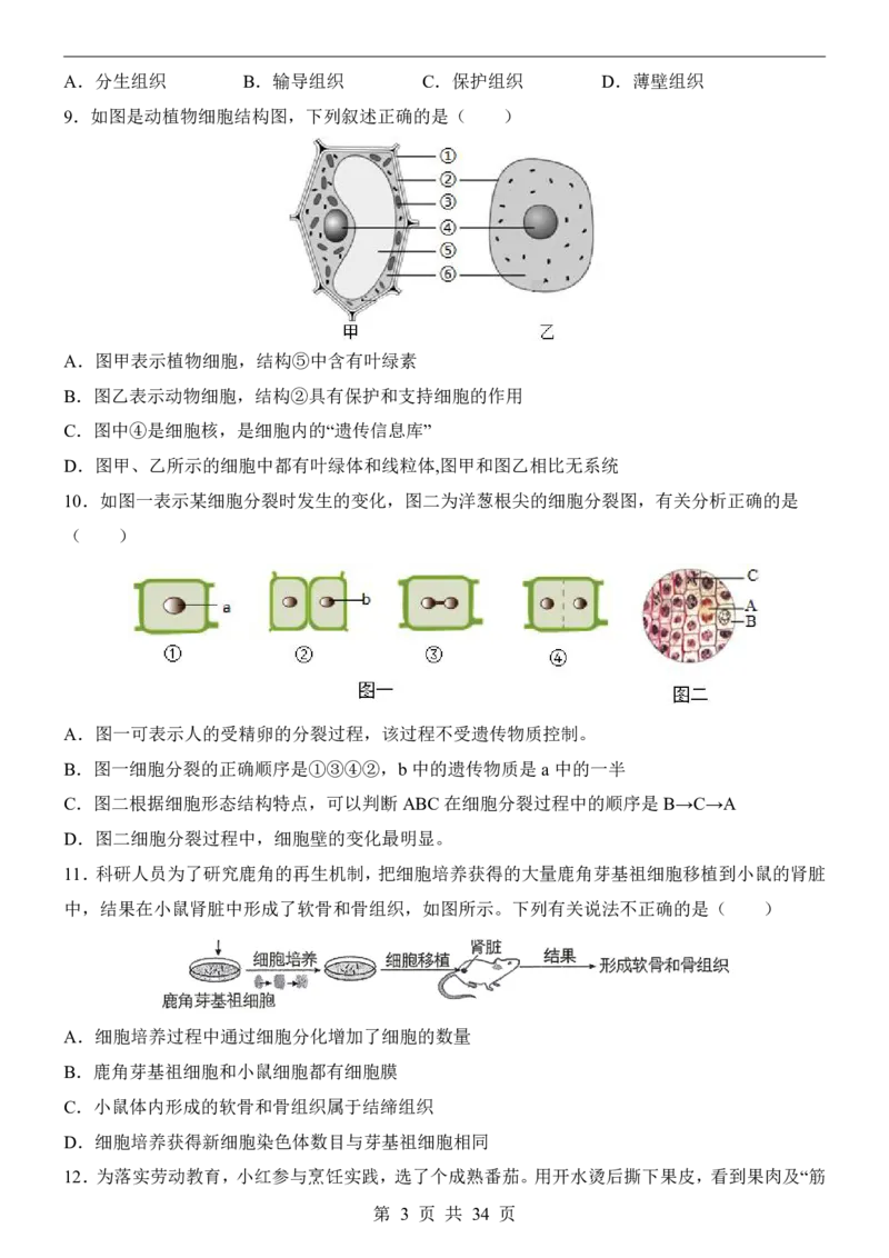 生物(江苏卷)_中考押题2026《中考押题》系列（9科全套实时更新中）_2026版中考《考前押测卷》地区版（地生）_2026《生物中考&bull;考前押题卷》地区版