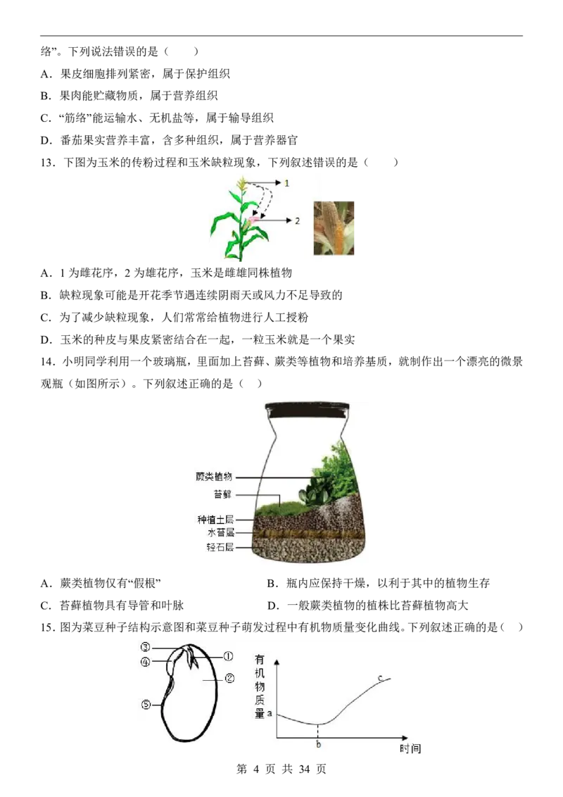 生物(江苏卷)_中考押题2026《中考押题》系列（9科全套实时更新中）_2026版中考《考前押测卷》地区版（地生）_2026《生物中考&bull;考前押题卷》地区版