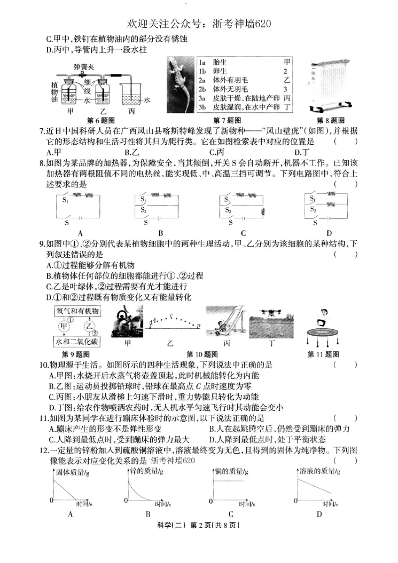 科学卷-2604浙江省中招仿真模拟卷（二）_中考押题2026《中考押题》系列（9科全套实时更新中）_浙江2026版中考《浙江一模二模》多地区全套（浙江）_2604浙江省中招仿真模拟卷二