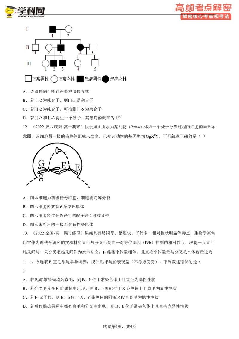 解密07遗传的细胞学基础（分层训练)（原卷版）_新高考复习资料_2023年新高考复习资料_二轮复习_高频考点解密2023年高考生物二轮复习讲义+分层训练（全国通用）288808838