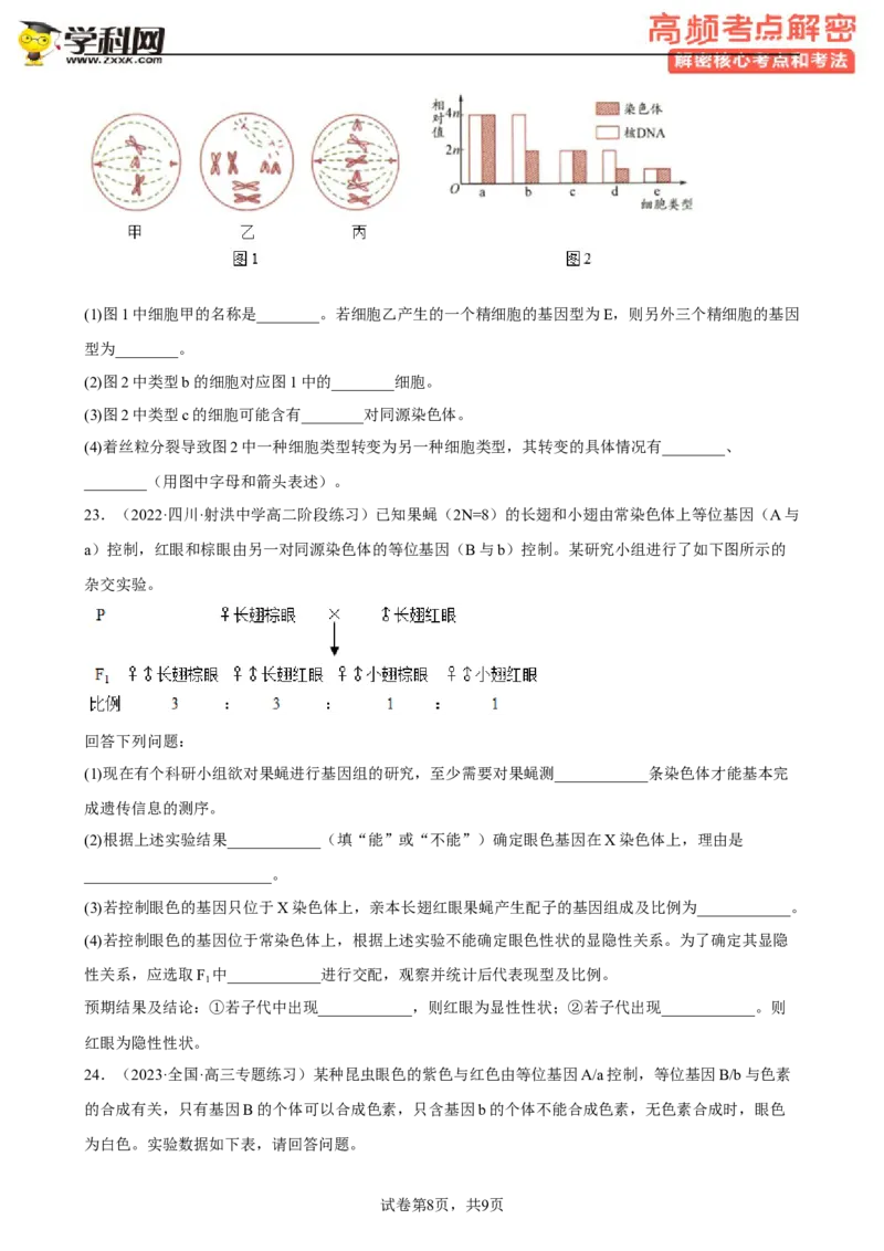 解密07遗传的细胞学基础（分层训练)（原卷版）_新高考复习资料_2023年新高考复习资料_二轮复习_高频考点解密2023年高考生物二轮复习讲义+分层训练（全国通用）288808838