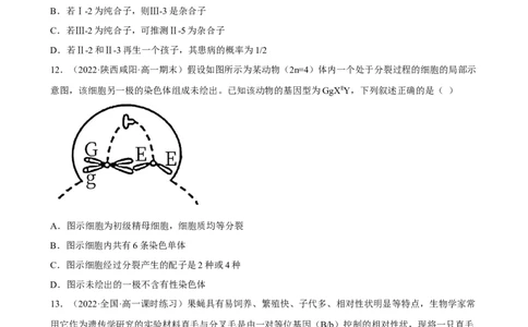 解密07遗传的细胞学基础（分层训练)（原卷版）_新高考复习资料_2023年新高考复习资料_二轮复习_高频考点解密2023年高考生物二轮复习讲义+分层训练（全国通用）288808838